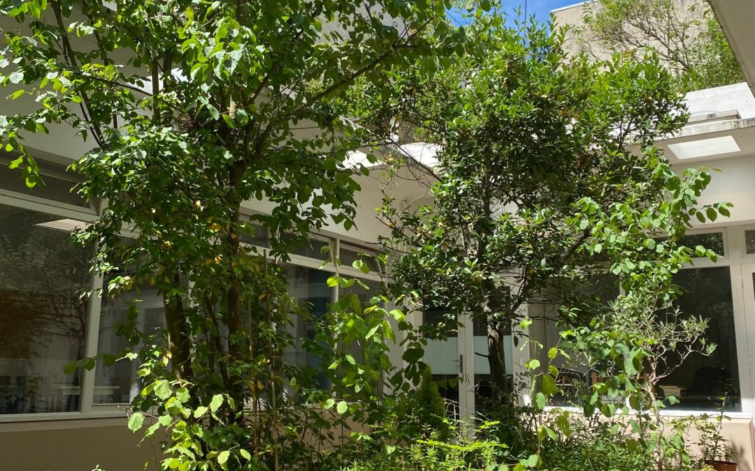 Eurécole International Middle School Relocation: Discover Our New Location