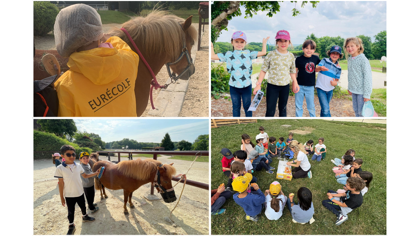 18. voyage en bourgogne Session poney lors du voyage de fin d'année à Marseille avec les élèves d'Eurécole