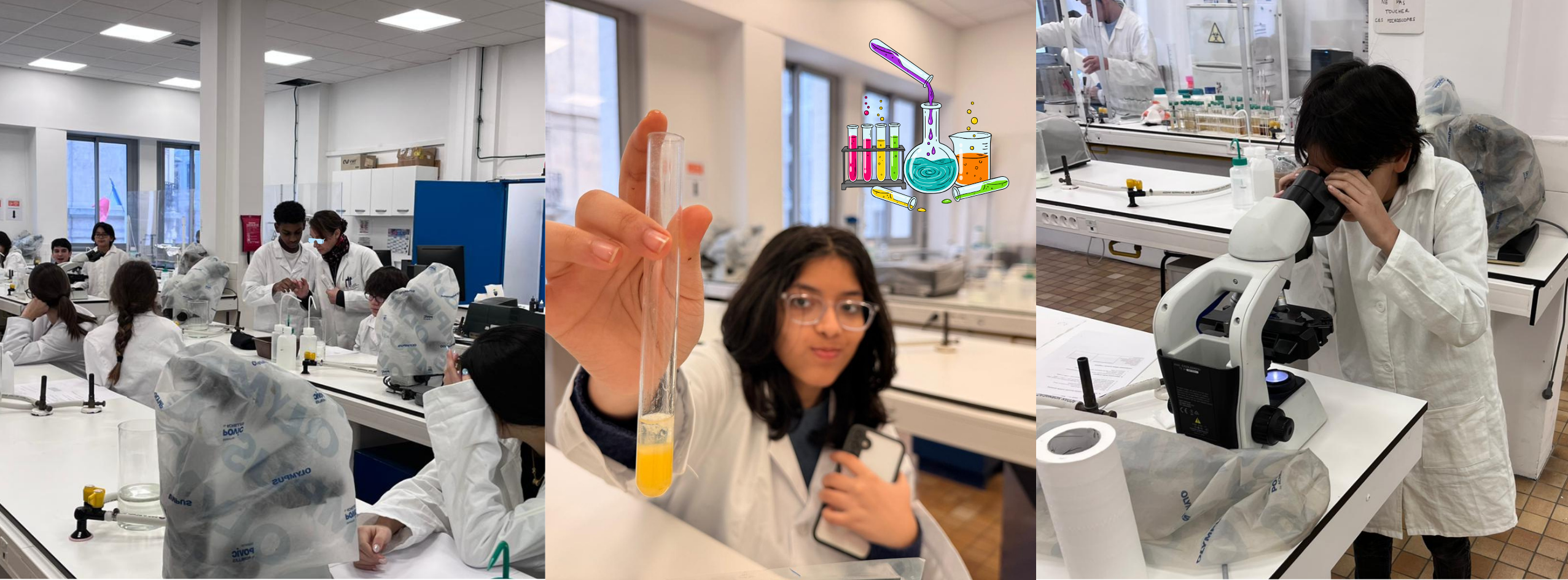 atelier physique chimie collège international eurecole