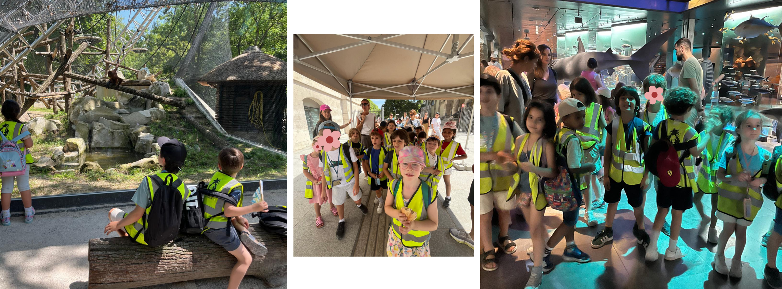 sortie jardin des plantes sortie à l'ambassade d'autriche pour les élèves d'eurecole